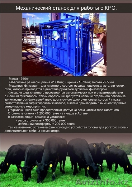 Станок фиксирующий для работы с КРС  - Изображение #2, Объявление #1518326