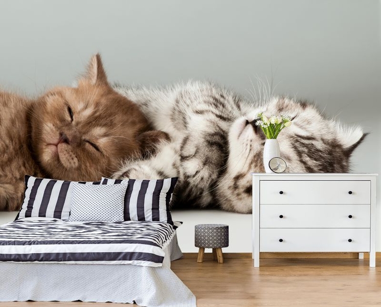 Фрески, фотошторы, фотообои - Изображение #5, Объявление #1695100