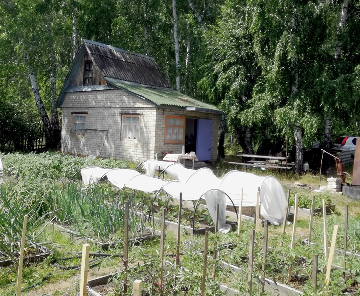 ПРОДАЮ ДАЧУ В  "ЭНЕРГЕТИК 2" Р-Н НОВОПАВЛОВКИ - Изображение #1, Объявление #1701282