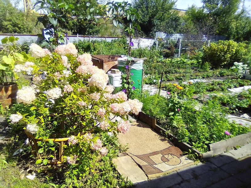 Дача в Петропавл - Изображение #1, Объявление #1750578